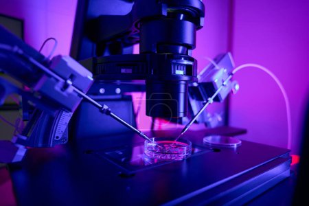Téléchargez les photos : Tests embryonnaires en laboratoire de réprudoctologie, biopsie et culture de cellules à l'aide d'un micromanipulateur et d'un microscope - en image libre de droit