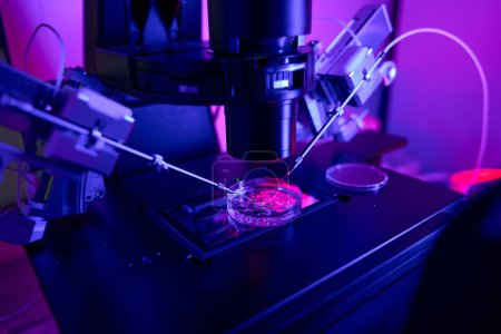 Primer plano científico trabajador de laboratorio haciendo microinyecciones a embriones con ayuda de micromanipulador, llevando a cabo investigaciones genéticas