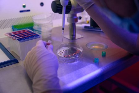 Foto de Embriólogo trabajando con biomaterial en laboratorio reproductivo especializado, añadiendo células en plato de escisión con micropipeta - Imagen libre de derechos
