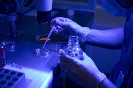 Foto de Asistente de laboratorio depositando fluido en placa petri con embriones, realizando investigación genética, cultivando embriones invitro - Imagen libre de derechos
