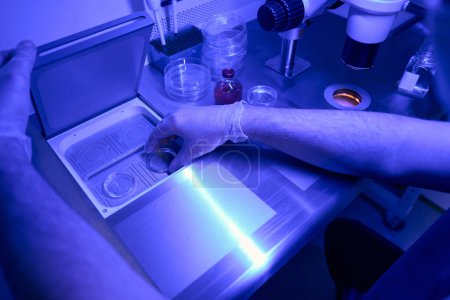 Foto de Trabajador de laboratorio genético que determina si el embrión tiene anomalías genéticas, realizando investigación en luz ultravioleta - Imagen libre de derechos