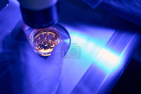 Foto de Trabajador de laboratorio genético haciendo inyección intracitoplasmática de esperma, fertilizando mecánicamente los óvulos mirando a través del microscopio - Imagen libre de derechos