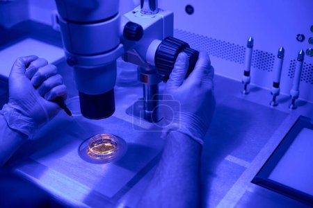 Embryologist adding special nutrients that embryos need during critical early stages of their development, working under microscope