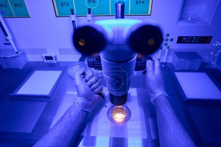 Foto de Pov trabajador genético de laboratorio haciendo inyección citoplásmica en muestras que examina bajo el microscopio - Imagen libre de derechos