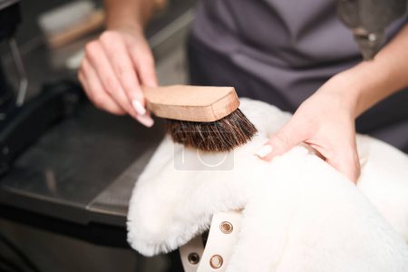 Téléchargez les photos : Femme de service de nettoyage à sec traitant la fourrure sur le manteau avec une brosse spéciale pour le rendre propre et moelleux - en image libre de droit