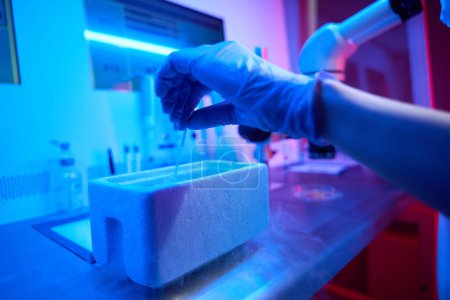 Téléchargez les photos : Assistante de laboratoire travaille avec le biomatériau sous un puissant microscope, elle immerge de la paille avec un embryon dans un réservoir d'azote liquide - en image libre de droit