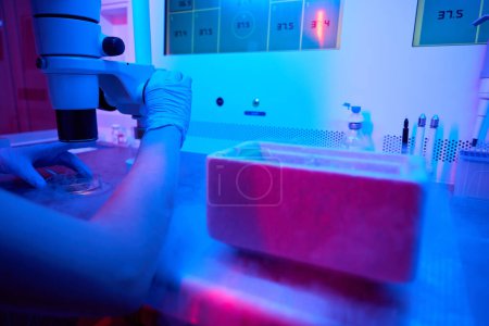Foto de Trabajador de laboratorio en guantes de protección utiliza un microscopio potente y un tanque de nitrógeno líquido - Imagen libre de derechos