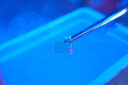 Photo for Small test tube with biomaterial is clamped with tweezers, it is placed in a cryostorage facility - Royalty Free Image