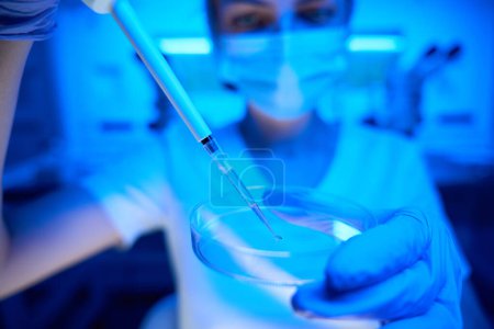 Téléchargez les photos : Scientifique manipule le biomatériau dans un laboratoire moderne, il utilise une tasse de Pétri et une pipette spéciale - en image libre de droit