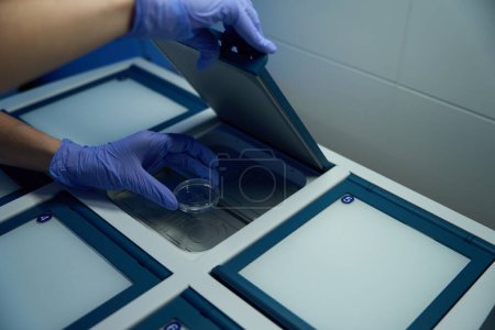 Foto de Embriólogo en guantes protectores coloca una placa petri con biomaterial en una caja especial, las cajas están numeradas - Imagen libre de derechos