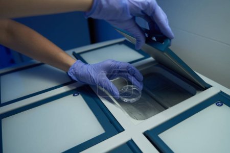 Foto de Empleado de laboratorio en guantes protectores coloca una placa petri con biomaterial en una caja especial, las cajas están numeradas - Imagen libre de derechos