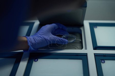 Photo for Man in protective gloves places a petri dish with biomaterial in a special box, the boxes are numbered - Royalty Free Image