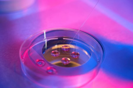Foto de Pequeñas pajitas para la conservación de embriones u óvulos en un laboratorio moderno, conjunto de micromanipuladores se utiliza para la manipulación - Imagen libre de derechos