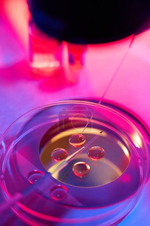 Foto de Procedimiento para la colocación de embriones o huevos en pequeñas pajitas en un laboratorio de amoderna, conjunto de micromanipuladores se utiliza para la manipulación - Imagen libre de derechos