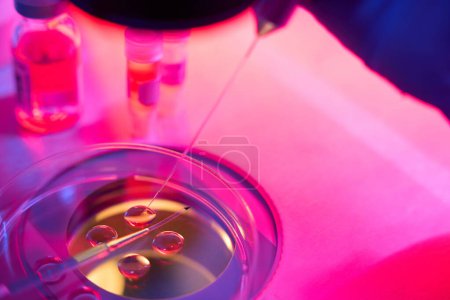 Photo for Embryo biopsy procedure in a modern laboratory, micromanipulator kit is used for manipulation - Royalty Free Image