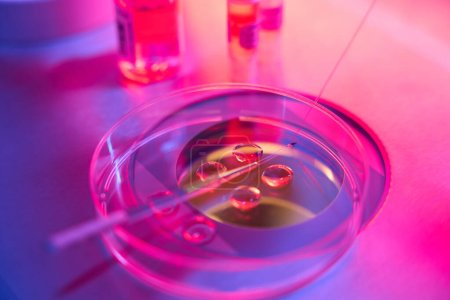 Foto de El procedimiento biotecnológico de la biopsia del embrión en un laboratorio moderno, kit del micromanipulador se utiliza para la manipulación - Imagen libre de derechos