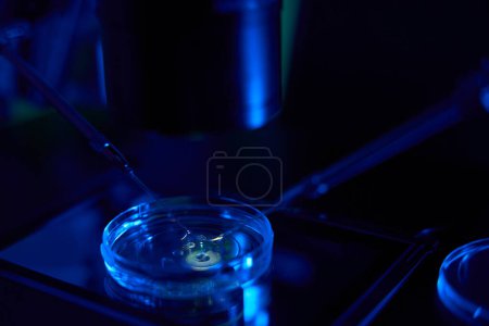 Foto de Herramienta de trabajo única del embriólogo es un conjunto de micromanipuladores, se realiza un procedimiento de biopsia embrionaria - Imagen libre de derechos