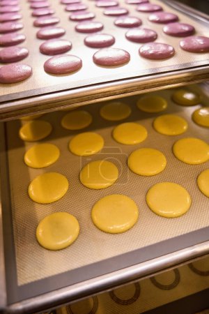 Photo for Rows of pink and yellow macarons on silicone mats on sheet pans - Royalty Free Image