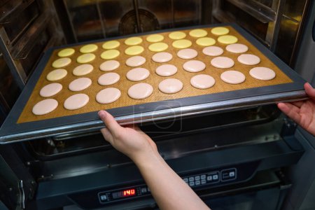 Photo for Closeup of female hands putting sheet pan with macaron shells into combi-steam oven - Royalty Free Image