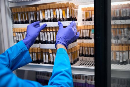 Foto de Asistente de laboratorio toma muestras de sangre en tubos de ensayo, el biomaterial se almacena en un refrigerador especial - Imagen libre de derechos