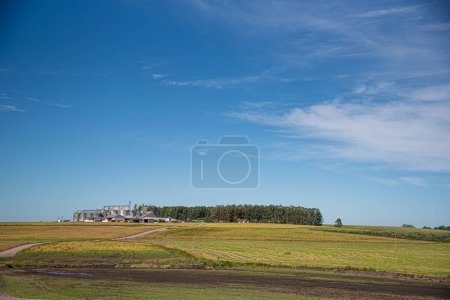 Photo for Rural electrificatioRural landscape bordering Brazil and Uruguayn wires. - Royalty Free Image