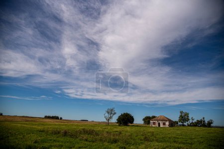 Photo for Rural landscape bordering Brazil and Uruguay. Pampas biome. Area of agricultural production fields. countryside landscape in south america - Royalty Free Image