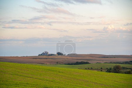 Landscapes of the pampas at dusk in southern Brazil. Interior. Agricultural production areas. Rural landscape