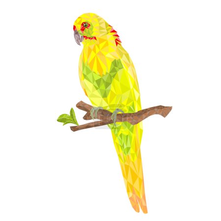Illustration for Parrot in Yellow bird Indian Ringneck Parrot alexander polygons on branch  on a white background vintage vector illustration editable Hand draw - Royalty Free Image