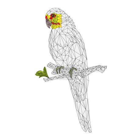 Illustration for Parrot in Yellow bird Indian Ringneck Parrot alexander outline low-polygon on branch  on a white background vintage vector illustration editable Hand draw - Royalty Free Image