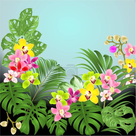 Design-Rahmen von Blumen Orchideen cymbidium und tropischen Blättern Palme, Philodendron monstera Variegated hosta Aquarell Vektor Illustration editierbare Handzeichnung