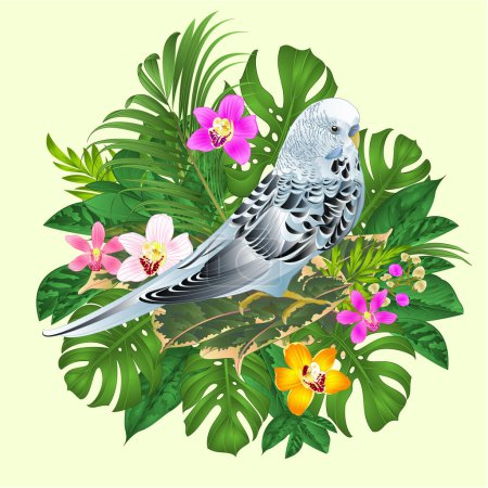 Illustration for Budgerigar blue  pets parakeet  on a bouquet with tropical flowers yellow orchids cymbidium  palm,philodendron,ficus   nature  background watercolor vintage vector illustration editable hand draw - Royalty Free Image