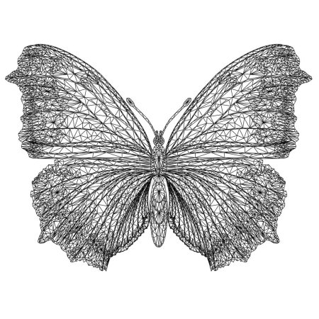 Téléchargez les illustrations : Papillon Nymphalis antiopa contour bas-polygone vecteur illustration dessin à la main modifiable - en licence libre de droit