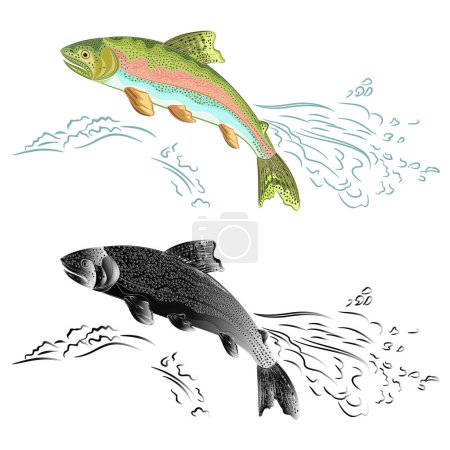 Amerikanische Forelle (Oncorhynchus mykiss) Lachsräuberfische natürlich und als Schmiedemetall springt über das Wehr Vektor Illustration editierbare Handzeichnung