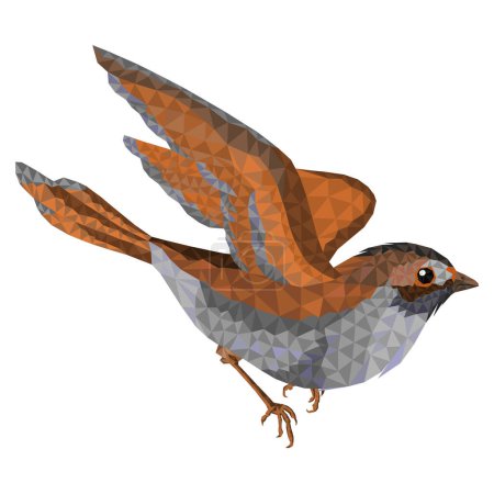 Kleiner Vogel Küken Sperling Passant domesticus low-polygon Vektor Illustration editierbare Handzeichnung