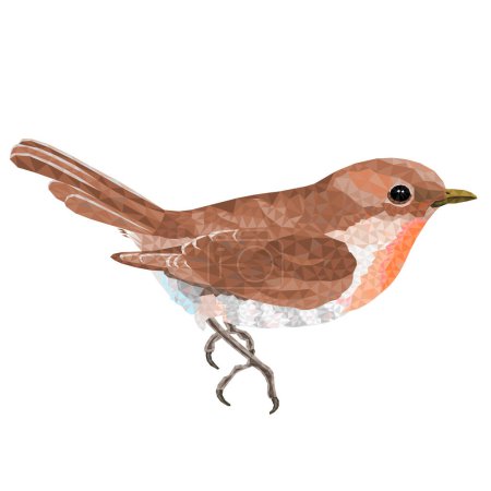 Ilustración de Pájaro pequeño pollito curruca Sylvia bajo polígono vector ilustración editable mano dibujar - Imagen libre de derechos