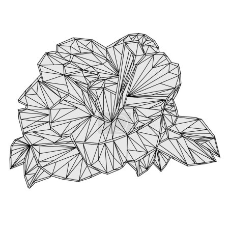 Camellia Japonica  flower outline low-polygon  on a white background vector illustration editable hand draw