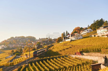 Foto de Tren regional que pasa por los viñedos dorados de Lavaux, paisaje otoñal, Suiza - Imagen libre de derechos