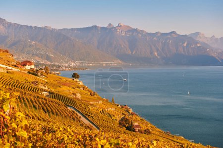 Foto de Paisaje dorado de los viñedos de Lavaux en otoño, Suiza - Imagen libre de derechos