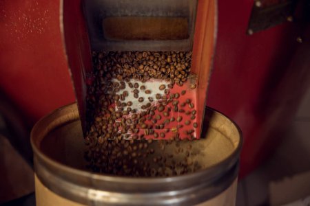 Téléchargez les photos : Gros plan de grains Arabica rôtis de haute qualité tombant de la goulotte dans un récipient vide - en image libre de droit