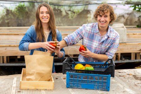 Téléchargez les photos : Couple de souriants jeunes travailleurs agricoles heureux emballage poivrons mûrs dans les sacs en papier - en image libre de droit