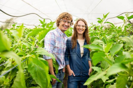 Photo for Young couple of cheerful agronomists posing for the camera among agricultural crops in the greenhouse - Royalty Free Image