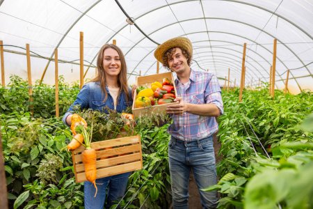 Foto de Cultivadora de verduras sonriente y su feliz colega sosteniendo cajas de madera con los pimientos dulces maduros y zanahorias - Imagen libre de derechos