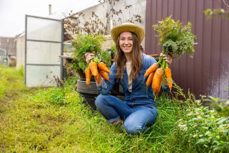 Foto de Sonriente trabajadora agricola contenta sentada en sus brujas sosteniendo zanahorias orgánicas frescas y maduras en sus manos - Imagen libre de derechos