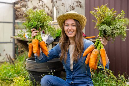 Téléchargez les photos : Portrait taille haute d'une agricultrice joyeuse montrant de grosses carottes biologiques fraîches devant la caméra - en image libre de droit