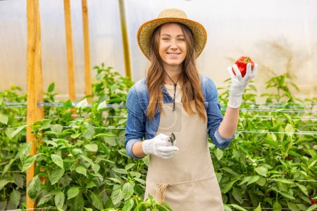 Photo for Smiling happy agronomist in the gardening gloves demonstrating a pruner and a red bell pepper in front of the camera - Royalty Free Image