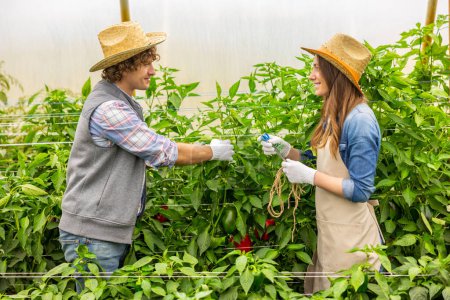 Photo for Smiling female agronomist with scissors and garden twine looking at a greenhouse worker holding a plant stem - Royalty Free Image