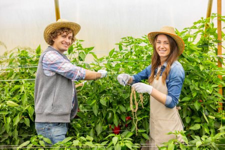 Foto de Smiling female agronomist cutting the garden twine with scissors while her pleased colleague holding a plant stem - Imagen libre de derechos