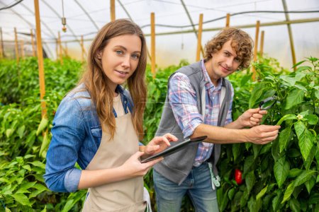 Foto de Female agronomist with a tablet and her colleague with a magnifier standing among bell peppers in the greenhouse - Imagen libre de derechos