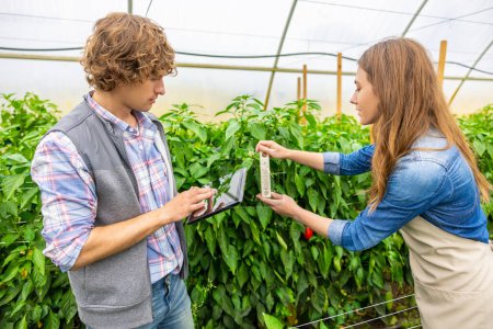Foto de Agricultural scientist measuring the plant growth with a ruler while her colleague entering data into the tablet - Imagen libre de derechos