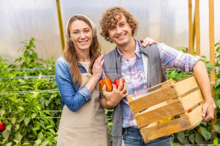 Photo for Smiling female agriculturist hugging her cute pleased colleague holding a wooden crate and a pair of bell peppers - Royalty Free Image
